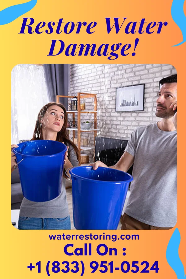 water restoration Ultimate Damage Recovery & Sons Stepney
