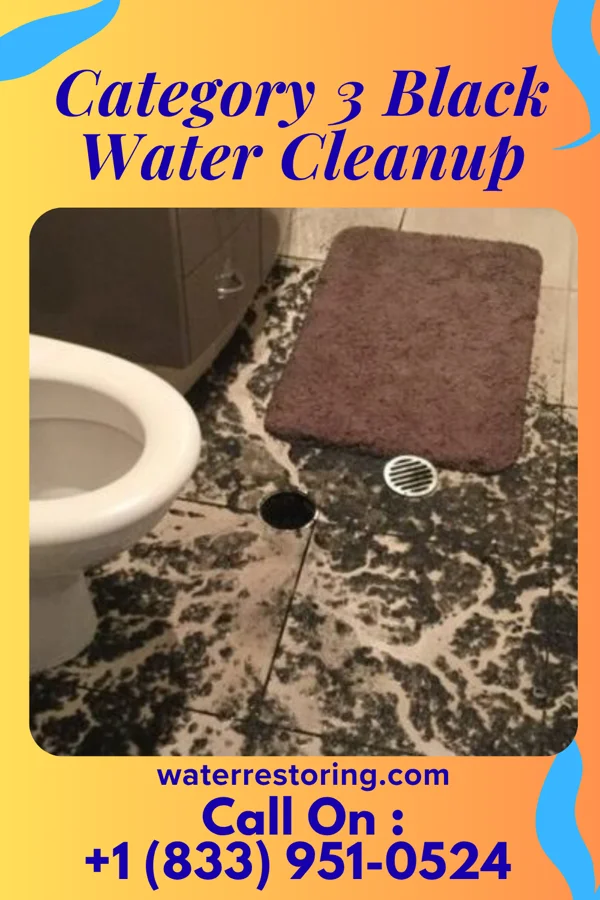 Category 3 Black Water Cleanup in Stepney, CT