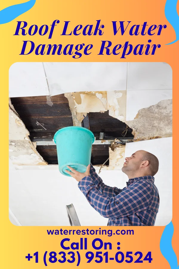 Roof Leak Water Damage Repair in Stepney, CT
