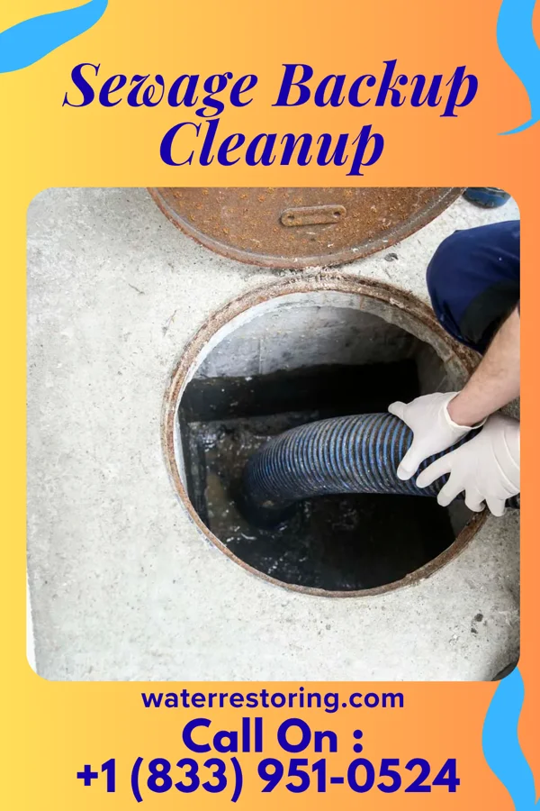 Sewage Backup Cleanup in Stepney, CT